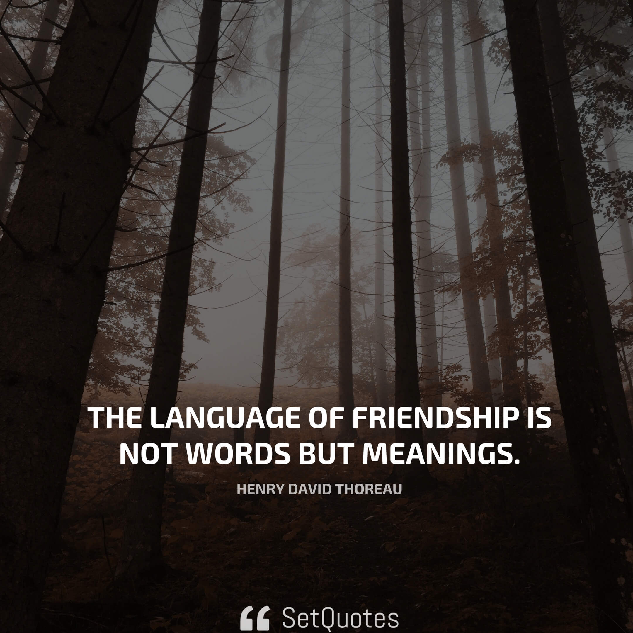 The language of friendship is not words but meanings. - Henry David Thoreau