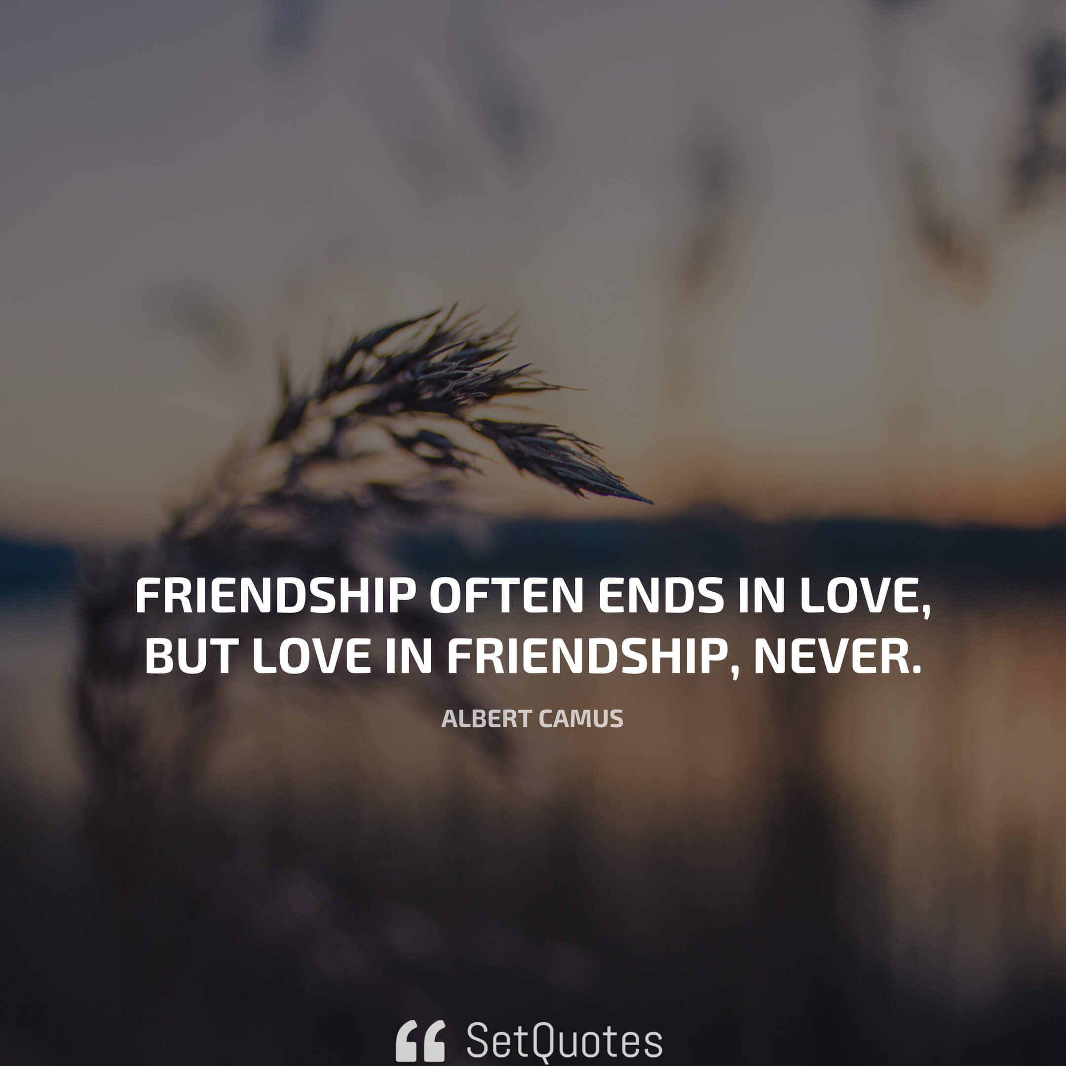 Friendship often ends in love, but love in friendship - never. - Albert Camus