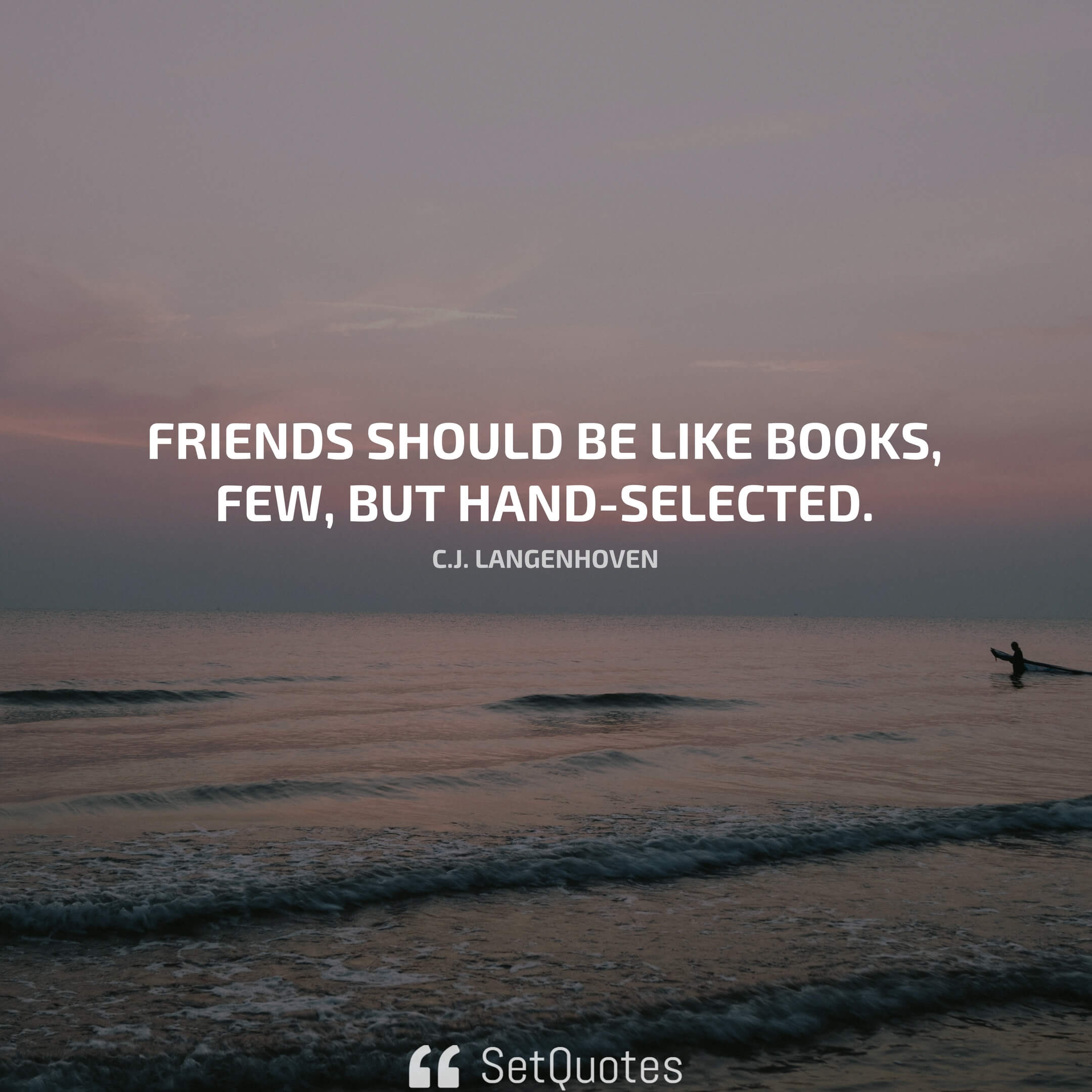 "Friends should be like books, few, but hand-selected." ― C.J. Langenhoven