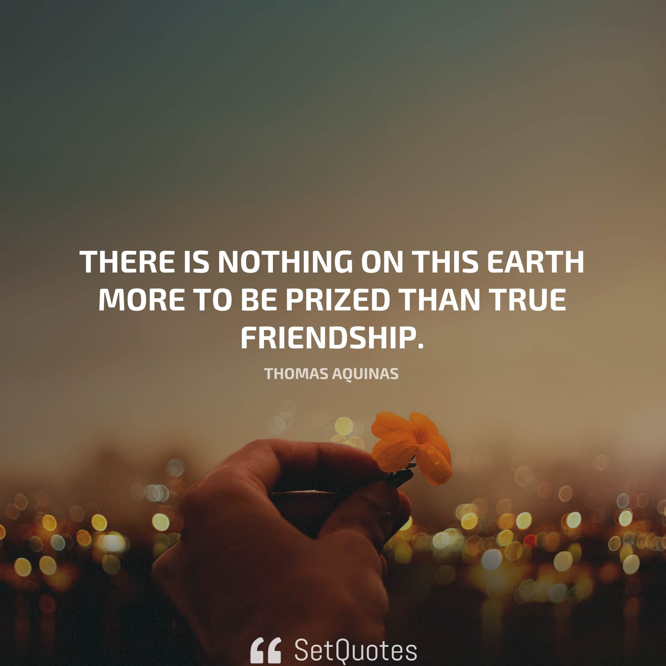 There is nothing on this earth more to be prized than true friendship. - Thomas Aquinas