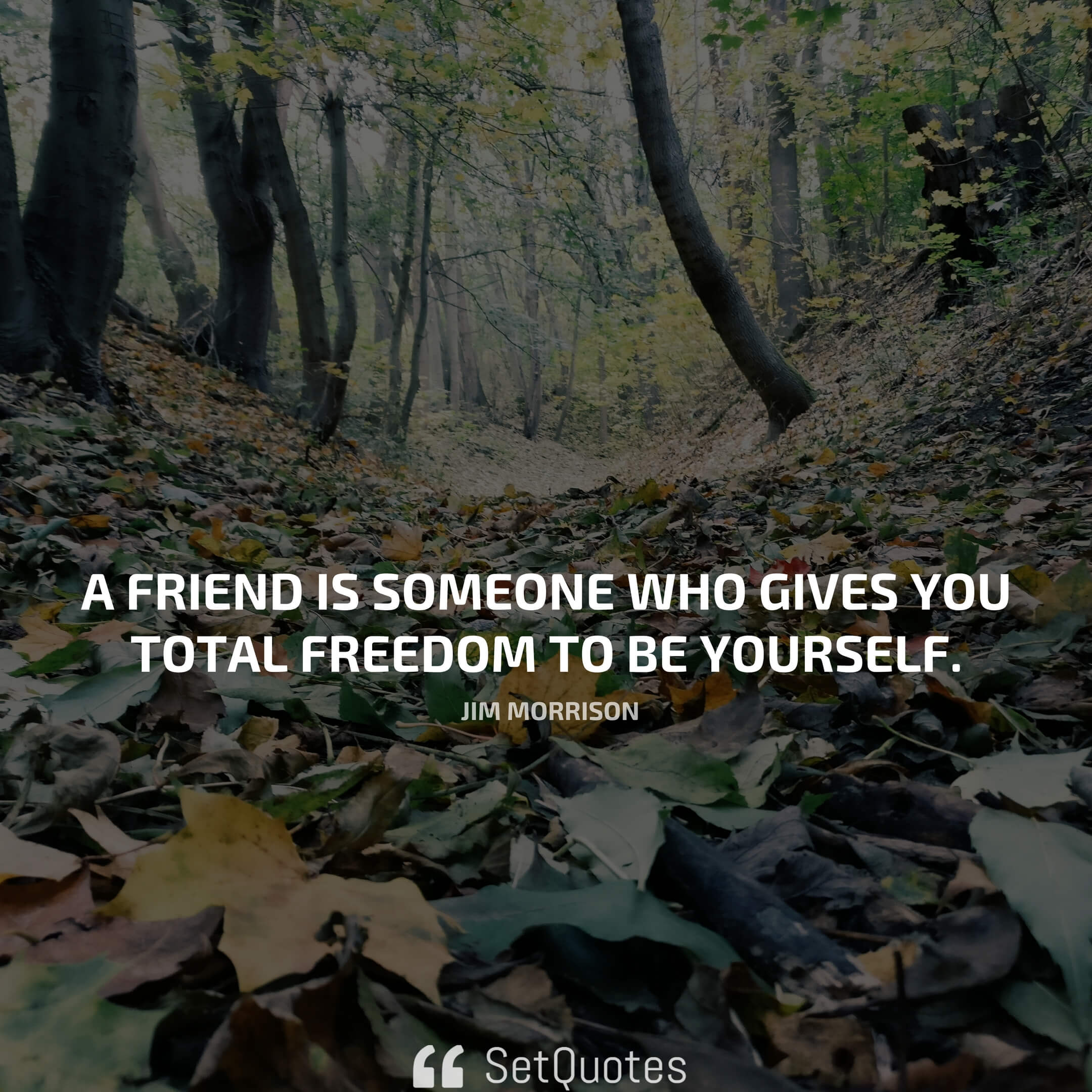 A friend is someone who gives you total freedom to be yourself. - Jim Morrison