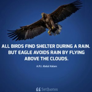 All birds find shelter during a rain. But eagle avoids rain by flying above the clouds - APJ Abdul Kalam Quotes