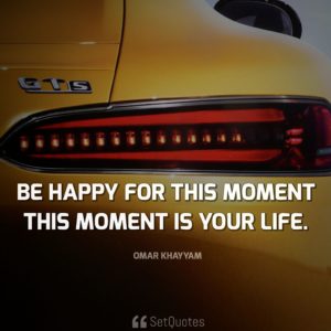 Be happy for this moment. This moment is your life. - Omar Khayyam