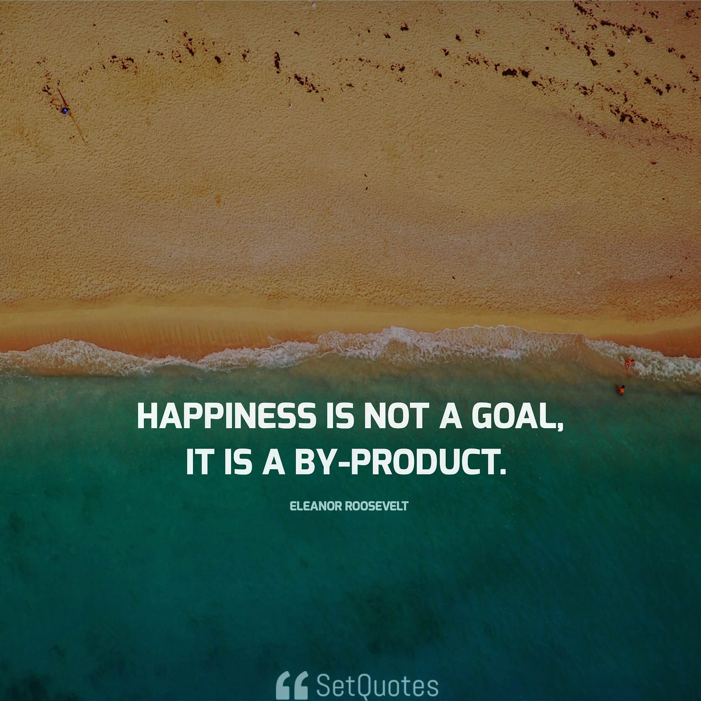 "Happiness is not a goal; it is a by-product." - Eleanor Roosevelt