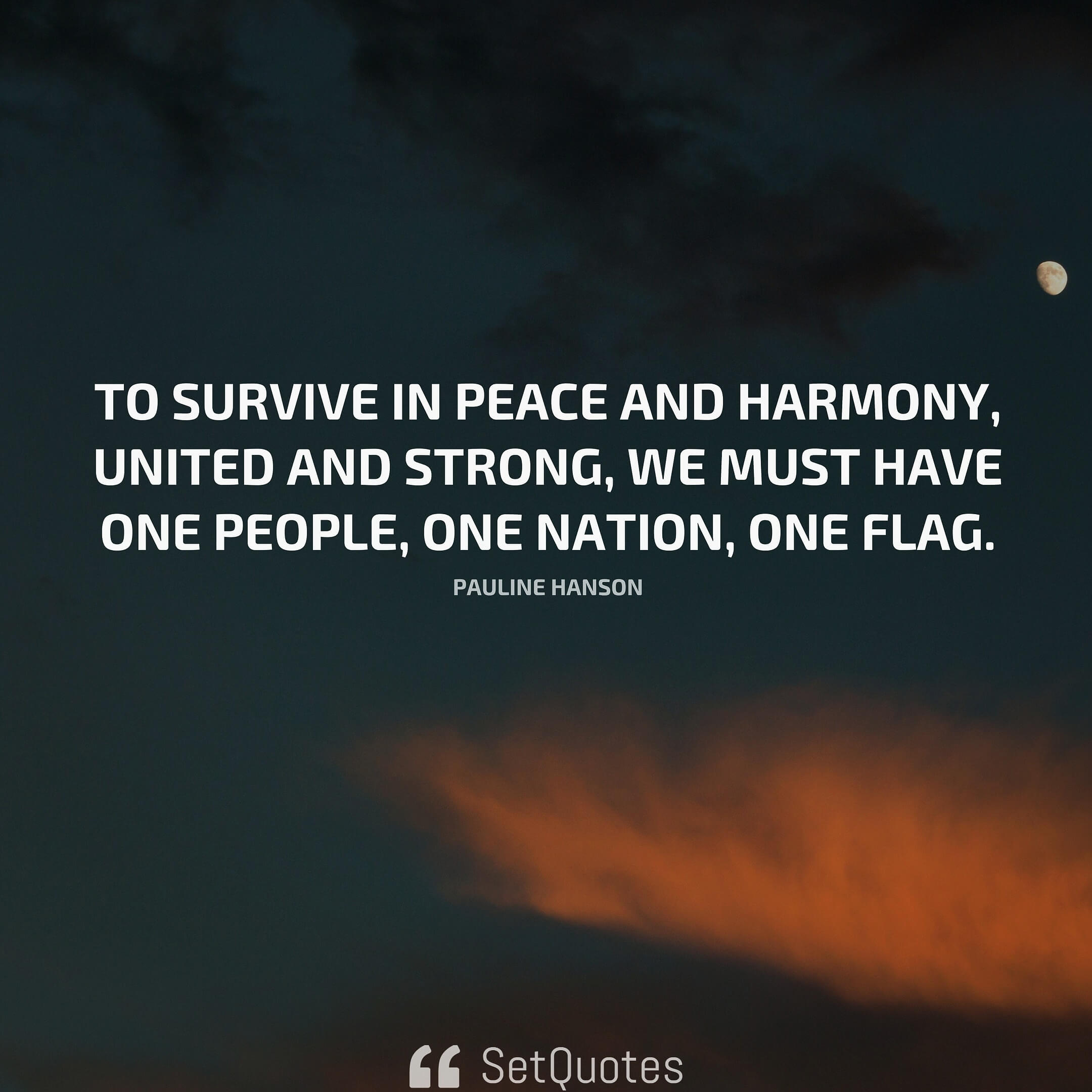 To survive in peace and harmony, united and strong, we must have one people, one nation, one flag. - Pauline Hanson