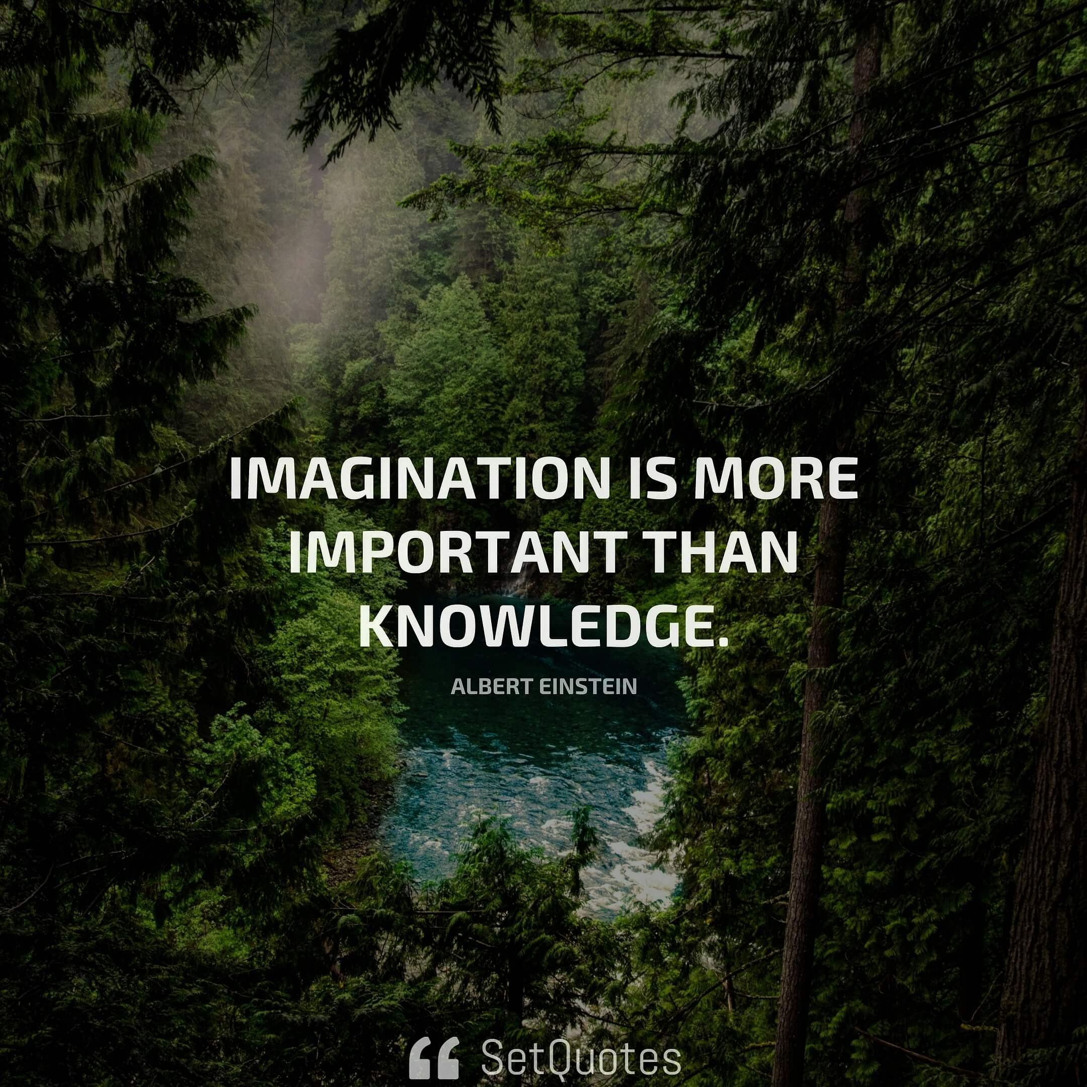 Imagination is more important than knowledge. - Albert Einstein