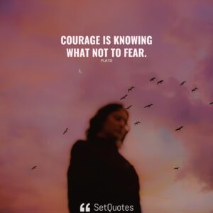 Courage is knowing what not to fear. – Plato