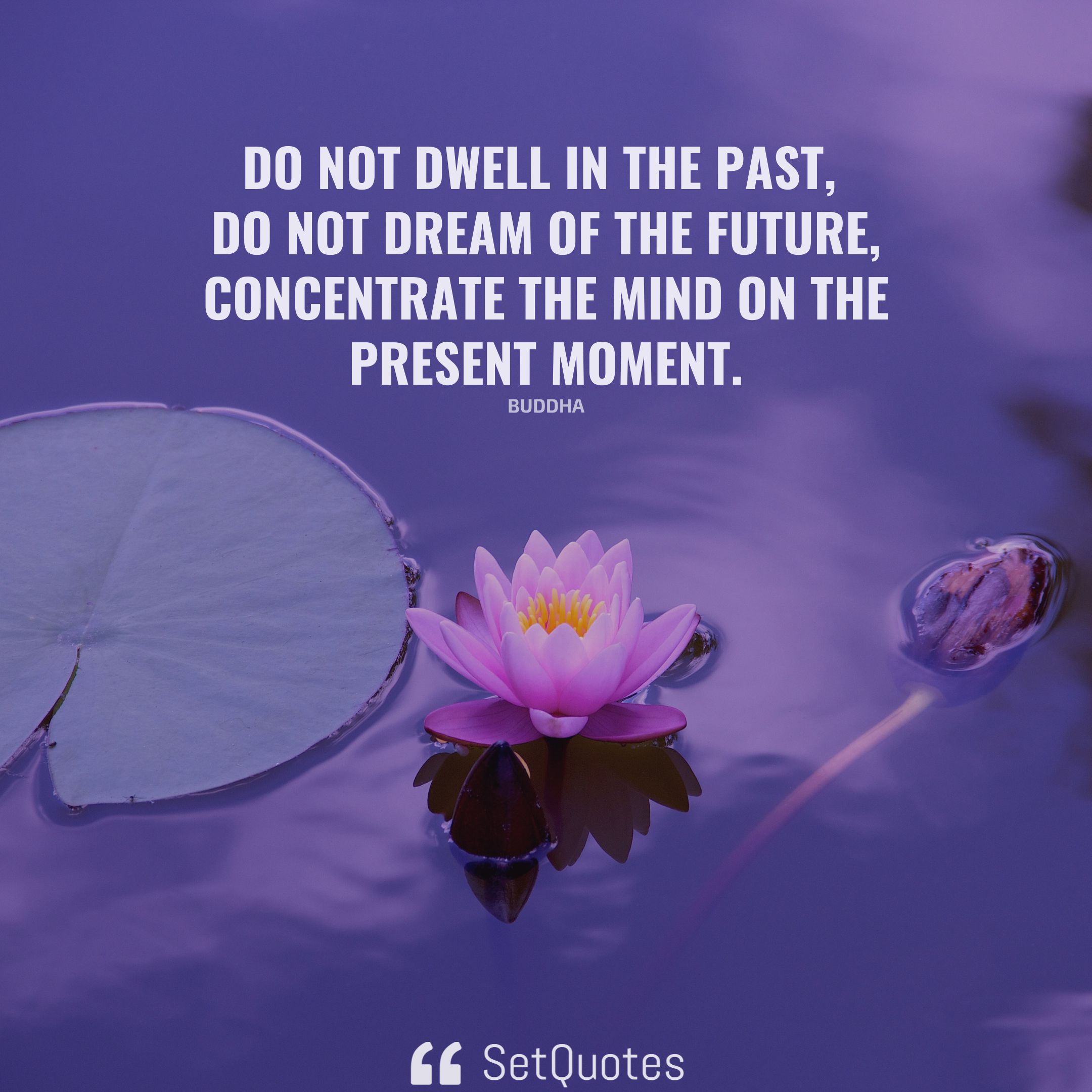 Do not dwell in the past, do not dream of the future, concentrate the mind on the present moment. – Buddha