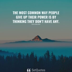 The most common way people give up their power is by thinking they don’t have any. – Alice Walker