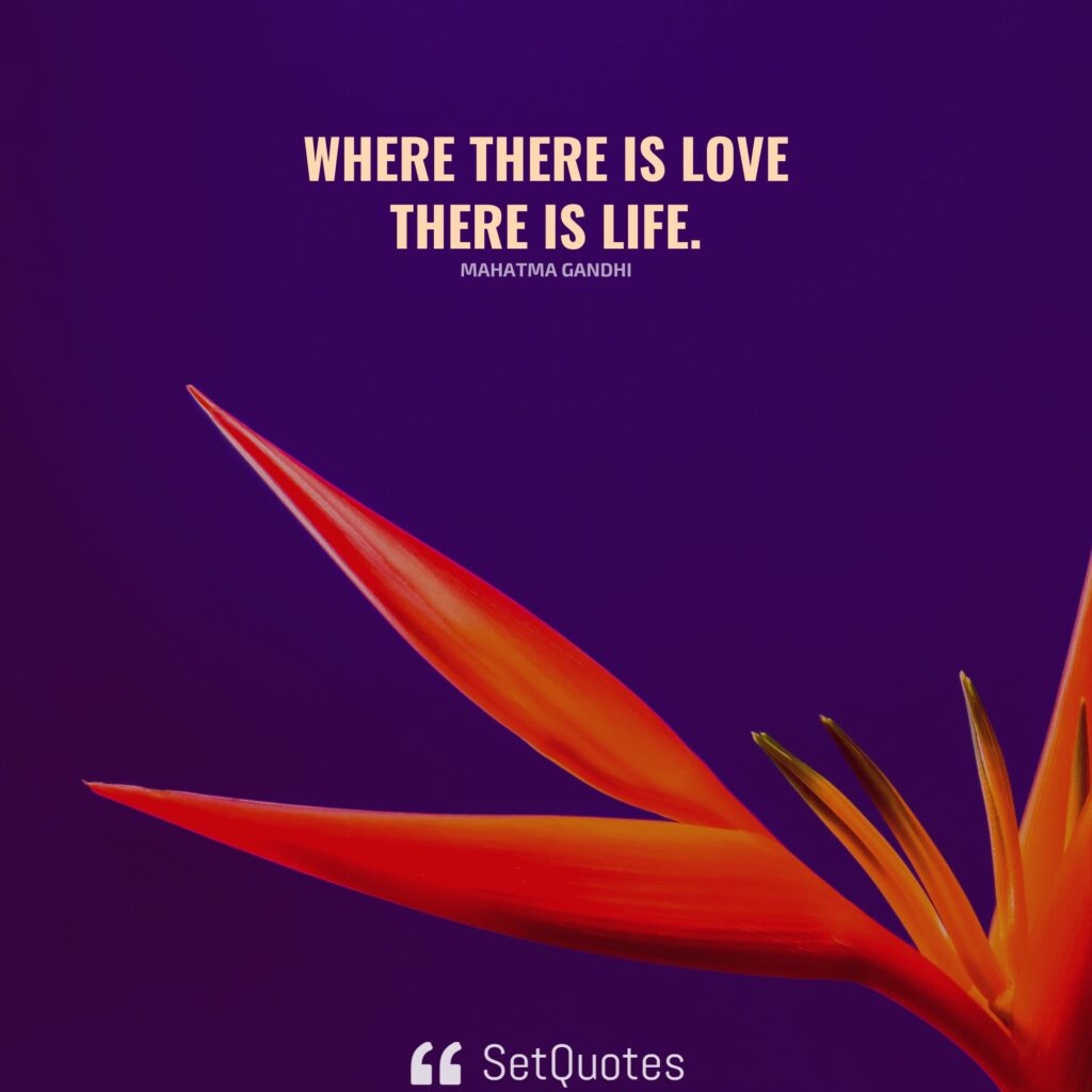 Where there is love there is life. - Mahatma Gandhi