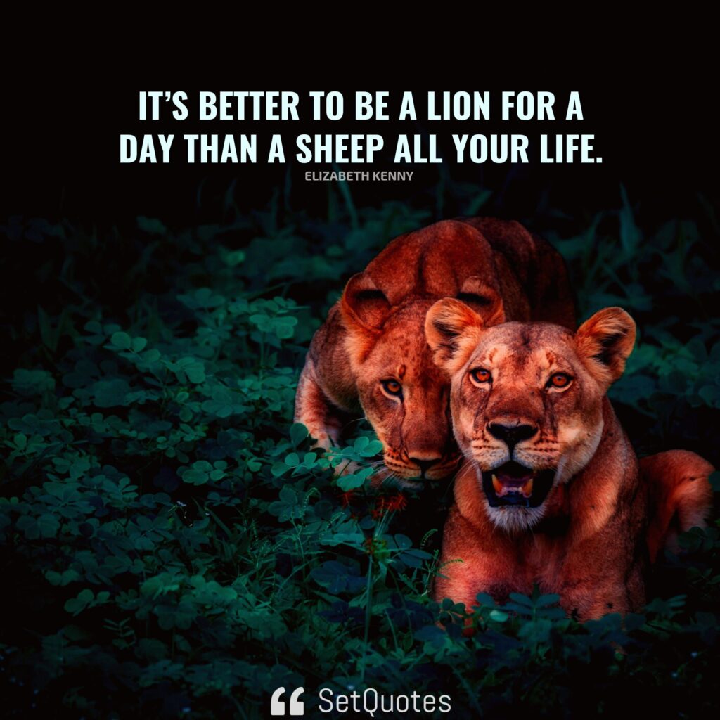It’s better to be a lion for a day than a sheep all your life. – Elizabeth Kenny - SetQuotes