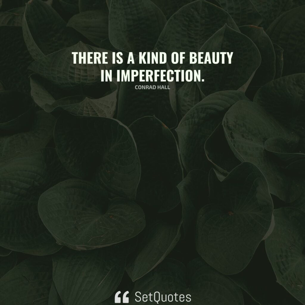 There is a kind of beauty in imperfection. - Conrad Hall