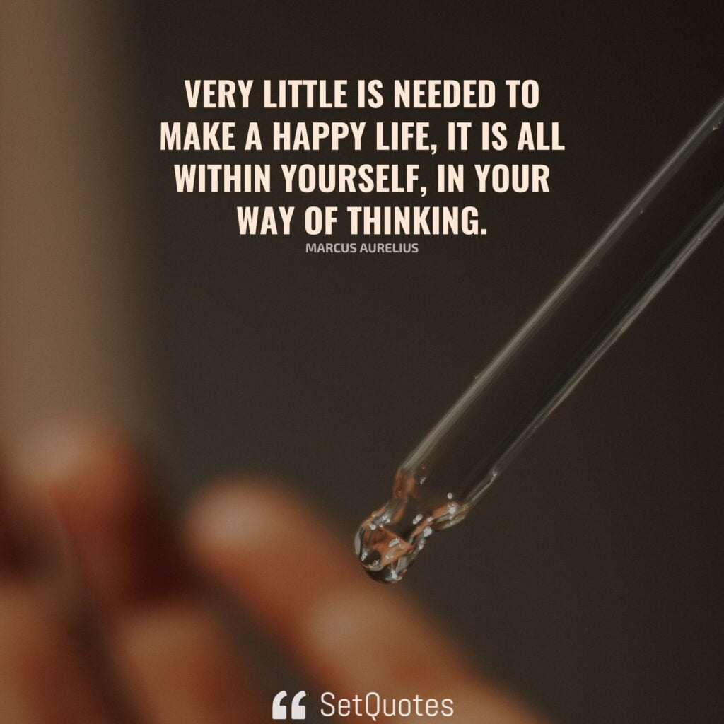 Very little is needed to make a happy life; it is all within yourself, in your way of thinking. – Marcus Aurelius