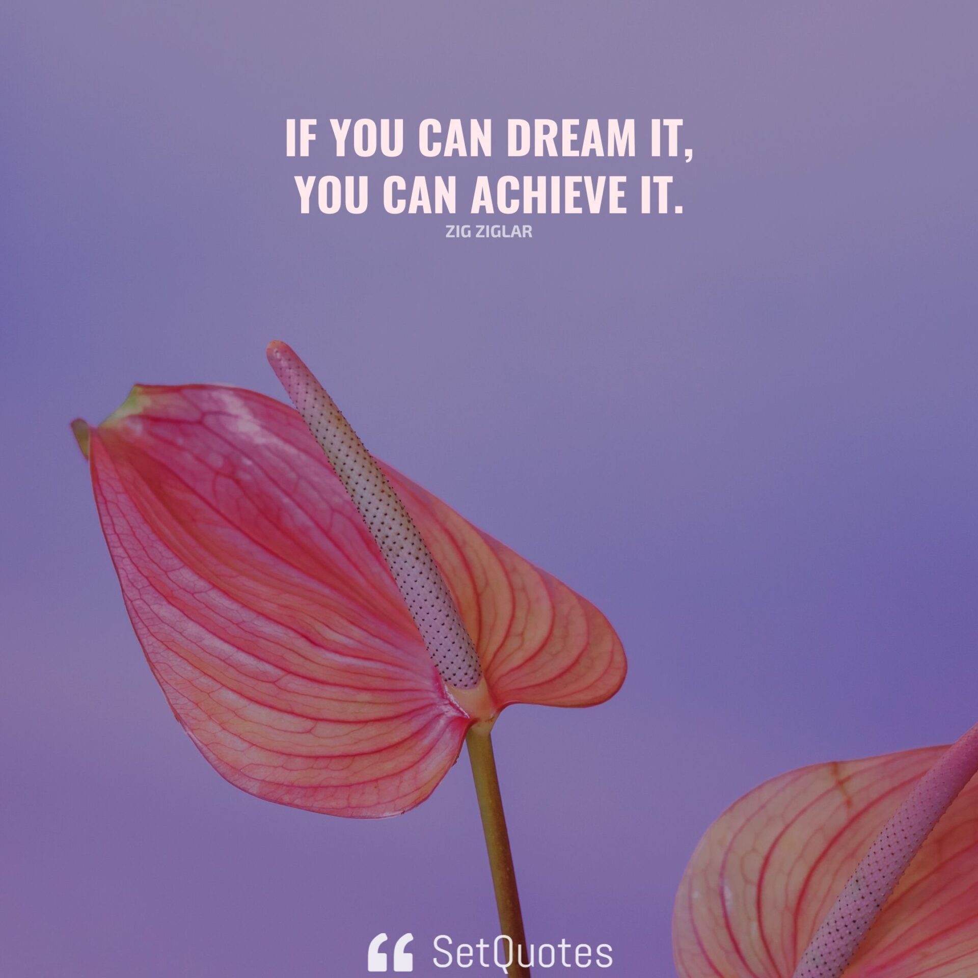 What you dream you can do. What you dream you can do
