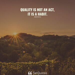 Quality is not an act, it is a habit. - Aristotle - SetQuotes