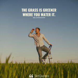 The grass is greener where you water it. - Neil Barringham - SetQuotes
