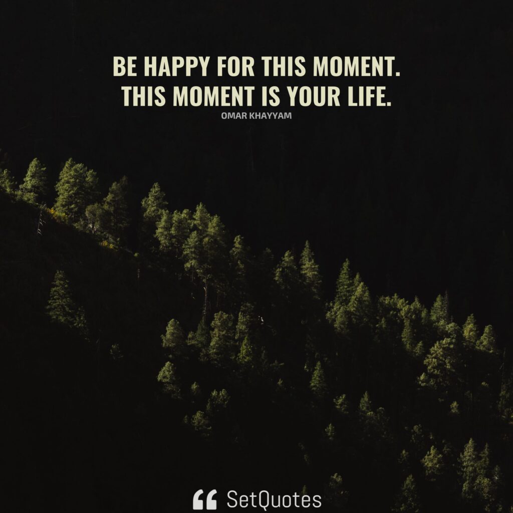 Be happy for this moment. This moment is your life. – Omar Khayyam - SetQuotes