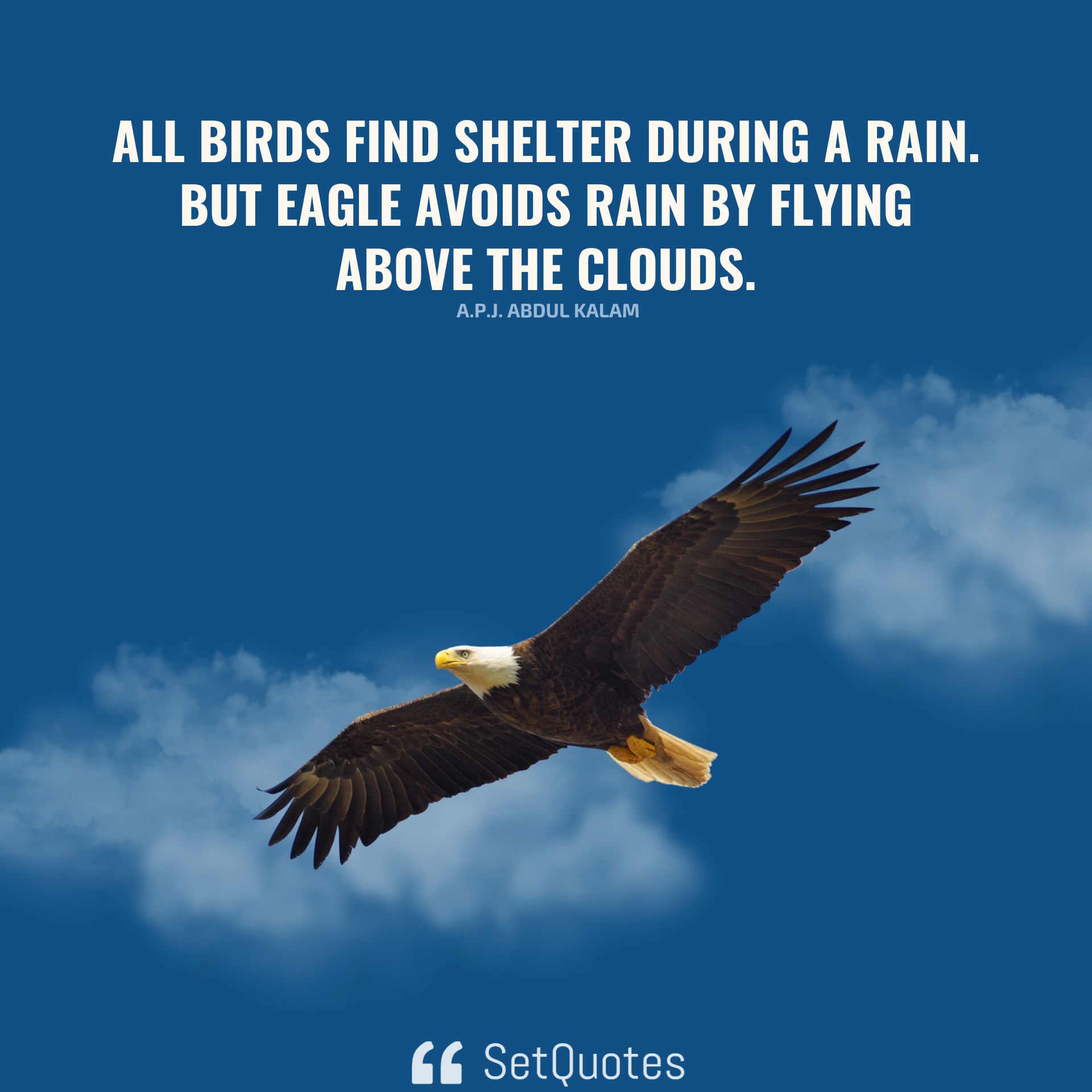 All birds find shelter during a rain. But eagle avoids rain by flying above the clouds. – A.P.J. Abdul Kalam - SetQuotes - 2023