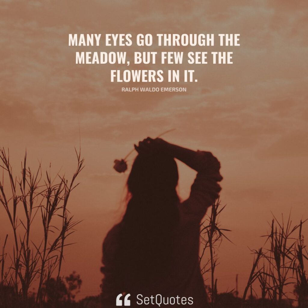 Many eyes go through the meadow, but few see the flowers in it. – Ralph Waldo Emerson - SetQuotes